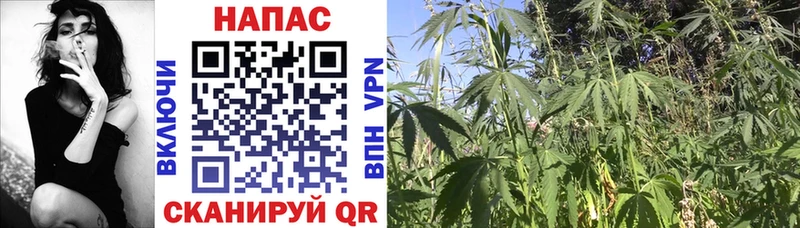 Наркотические вещества Вологда АМФ  МЕФ  СОЛЬ  МАРИХУАНА  COCAIN 