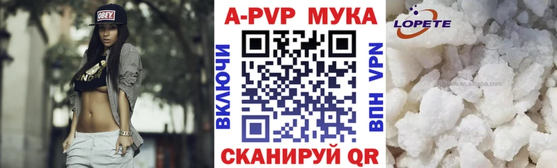 ссылка на мегу зеркало  Вологда  A PVP СК 