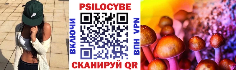 Псилоцибиновые грибы прущие грибы Вологда