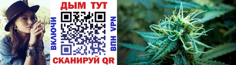 где найти наркотики Вологда KRAKEN ссылка МАРИХУАНА Ganja